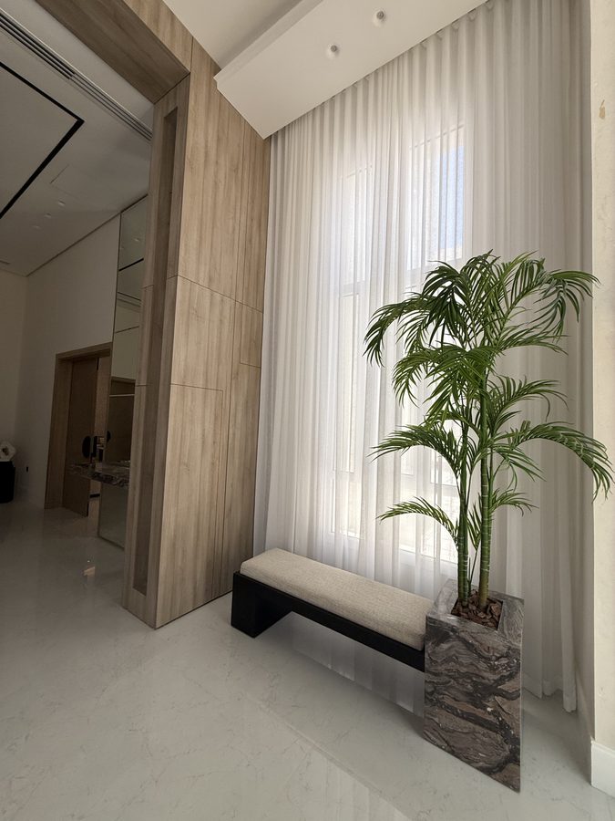 Bench and palm beside sheer curtains